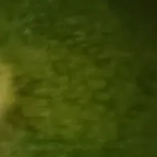 Chat with Rajara, the  character AI chatbot