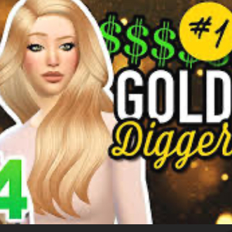 Chat with The gold digger challenge rp, the  character AI chatbot