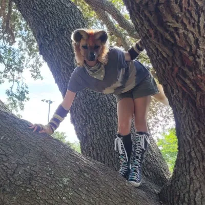 Chat with Forest!, the Furry character AI chatbot