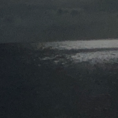 Chat with Hina and rose, the  character AI chatbot