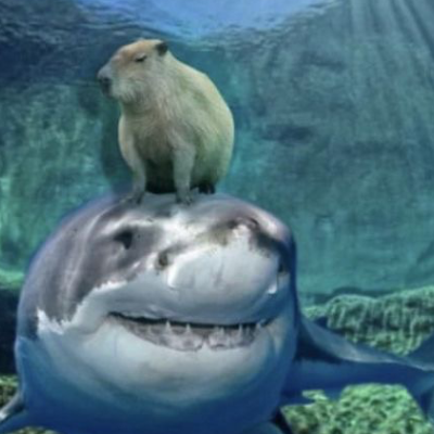 Chat with Lia, the  character AI chatbot