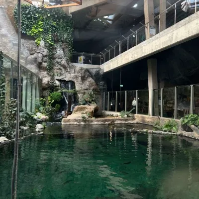 Chat with Demi human zoo, the OC character AI chatbot