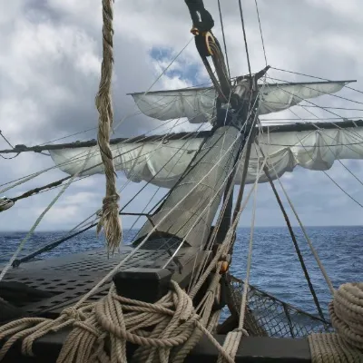 Chat with ⚓August Finch, the OC character AI chatbot