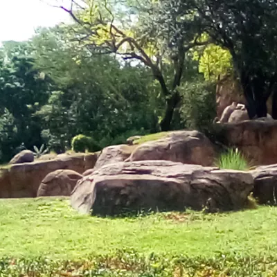 Chat with Spike, the  character AI chatbot