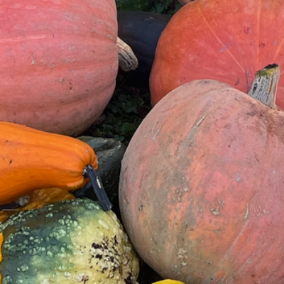 Chat with Dylan, the Romance character AI chatbot