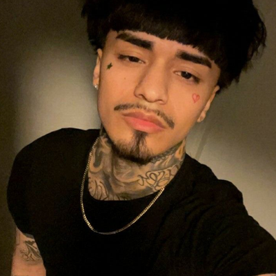 Chat with alan, the  character AI chatbot