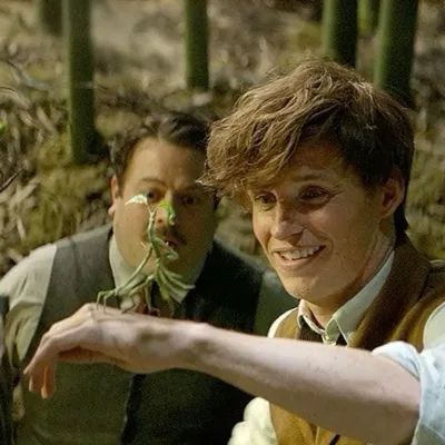 Chat with Fantastic Beasts RPG, the  character AI chatbot