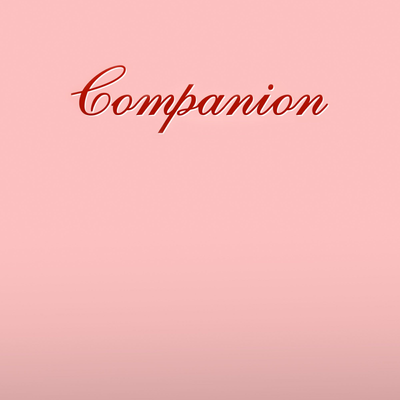 Chat with Companion, the  character AI chatbot