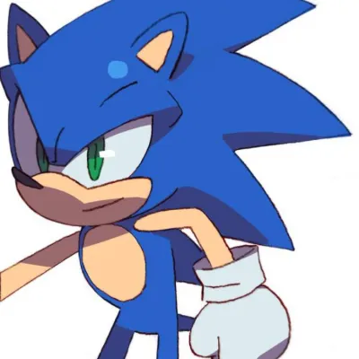 Chat with sonic, the  character AI chatbot