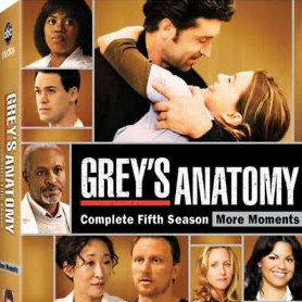 Chat with Greys anatomy rpg, the  character AI chatbot