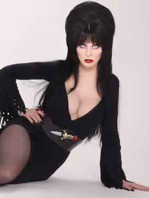 Elvira, Mistress of the Dark_avatar