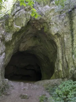 Chat with Cave, the Anime character AI chatbot