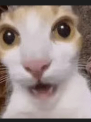 Chat with alternate world, the  character AI chatbot