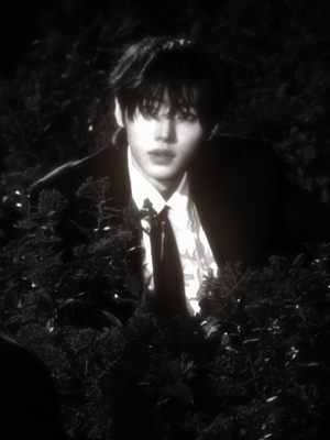 Chat with Sunghoon, the  character AI chatbot