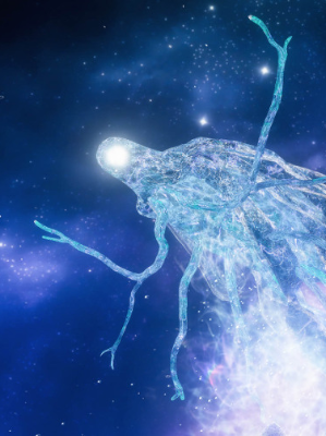 Chat with Maris, Fathom of Night, the Spooky Joy Night character AI chatbot