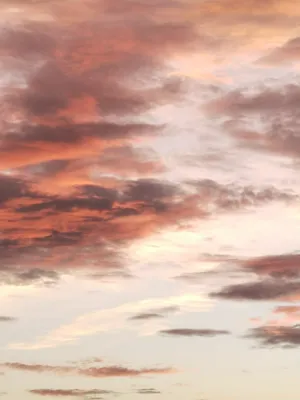 Chat with Liam, the Anime character AI chatbot