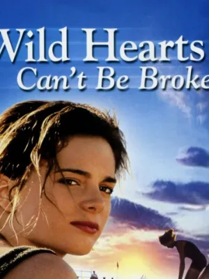 Chat with wild hearts cant be broken, the  character AI chatbot