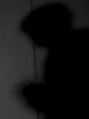 Chat with Max, the  character AI chatbot