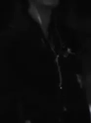 Chat with Cayden, the  character AI chatbot