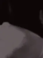 Chat with Nemo, the  character AI chatbot