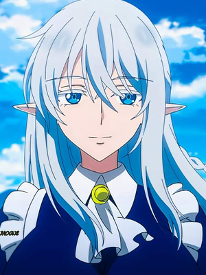 Chat with Schnee Raizar, the  character AI chatbot