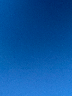 Chat with Zuri tiifu, the RPG character AI chatbot