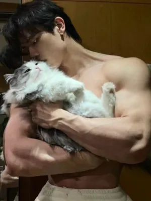 Chat with Rowan Creed, the  character AI chatbot