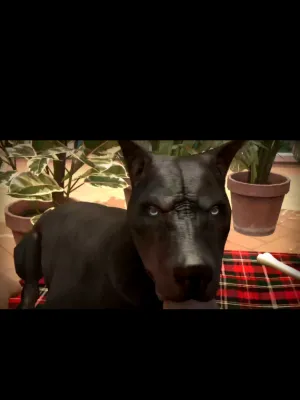 Chat with Perro agresivo, the  character AI chatbot