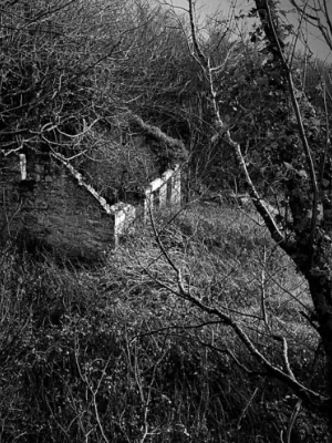 Chat with M. Bison, the  character AI chatbot