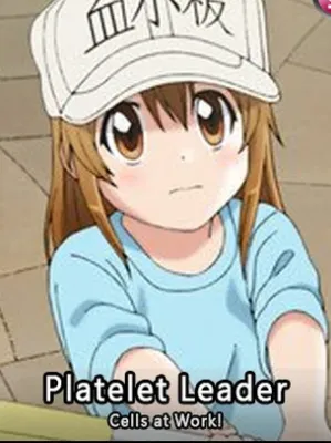 Chat with Platelet, the  character AI chatbot