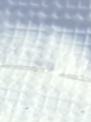 Chat with Impractical jokers, the  character AI chatbot