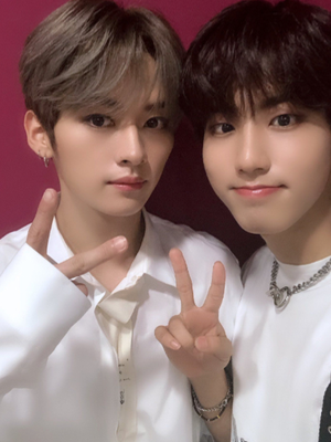 Chat with 2 Roommates, the  character AI chatbot