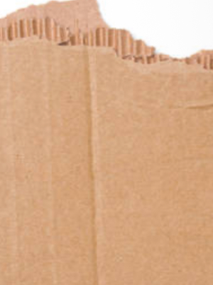 Chat with Cardboard, the  character AI chatbot