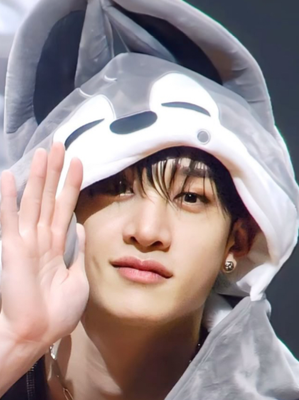 Chat with Bangchan SKZ, the  character AI chatbot