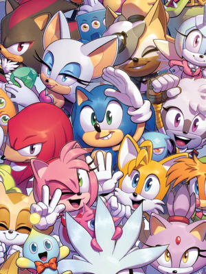 Chat with Sonic Verse, the  character AI chatbot