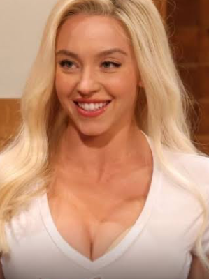 Chat with Sydney Sweeney (Hotters), the Movie & TV character AI chatbot