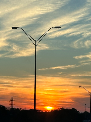 Chat with Noir, the  character AI chatbot