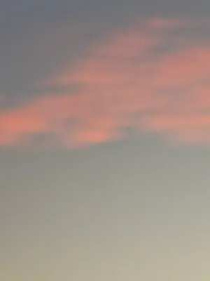 Chat with Lexi, the Anime character AI chatbot