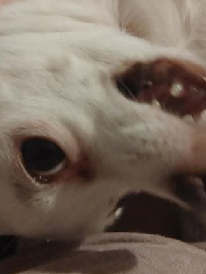 Chat with Your own custom rp, the RPG character AI chatbot