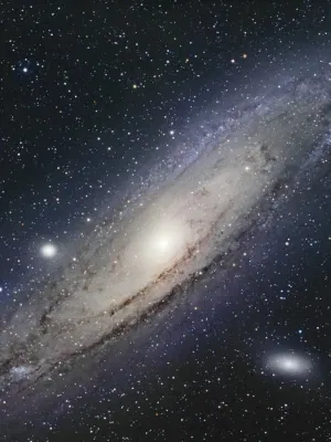 Chat with Lomina Maracus, the RPG character AI chatbot