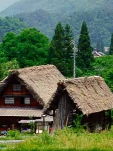 Chat with The Burden of the Unchosen:, the  character AI chatbot