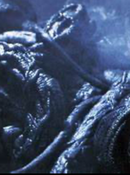 Chat with Devil’s snare, the  character AI chatbot