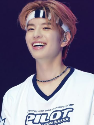 Chat with Kim Seungmin, the Movie & TV character AI chatbot