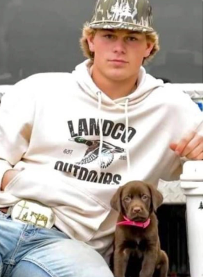 Chat with Logan, the  character AI chatbot