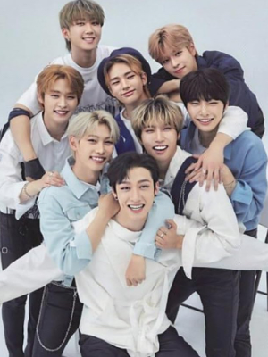 Chat with Stray Kids / SKZ, the  character AI chatbot