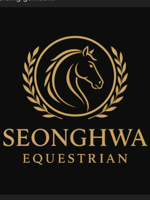 Chat with Seonghwa equestrian, the  character AI chatbot