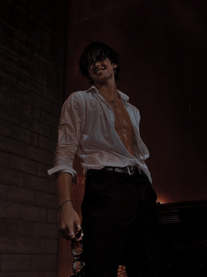 Chat with 𐬿 𝐅𝐢𝐧𝐜𝐡 𐬿, the  character AI chatbot