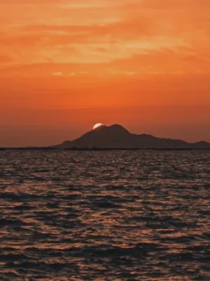 Chat with Cheese cheese, the OC character AI chatbot