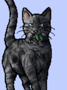 Chat with Jayfeather, the  character AI chatbot