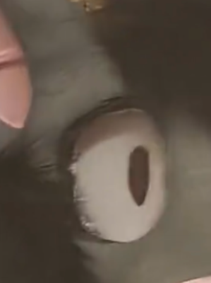 Chat with Kitty, the  character AI chatbot